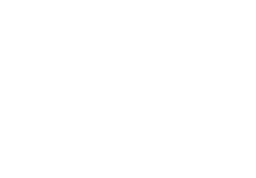 Whaletone Foundation Logo